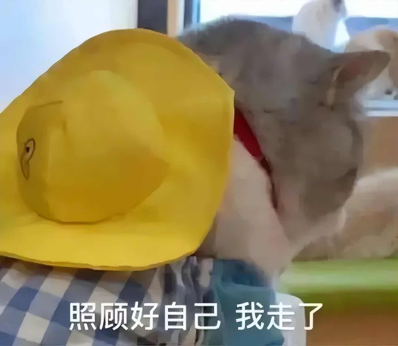 如何防止擦枪走火,预防枪支走火措施