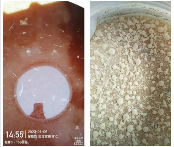 怎么知道花生麸发酵失败了,酵素发酵花生麸