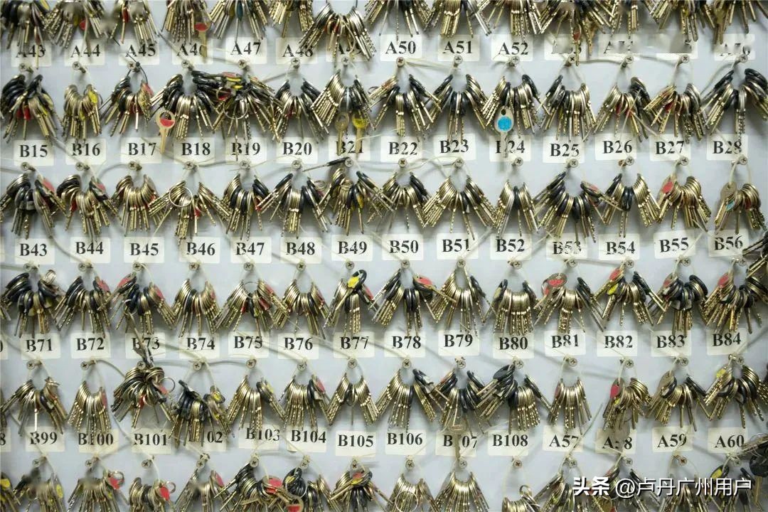 20年拍下150万张“东莞女工”在国外爆火：中国制造，不可思议！