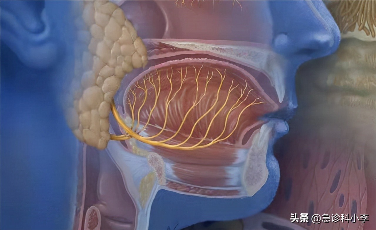 脑梗来临前腿脚先知,睡觉时出现5种迹象警惕脑梗信号