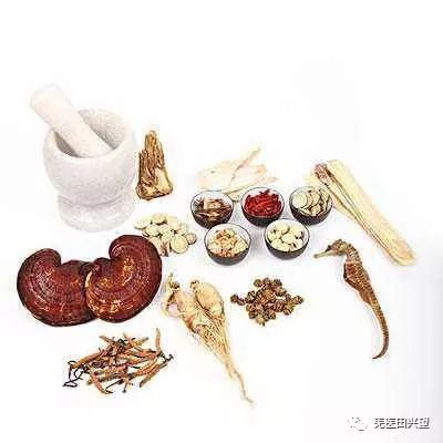 中西医养生保健有哪些区别,中西医的养生保健区别在哪