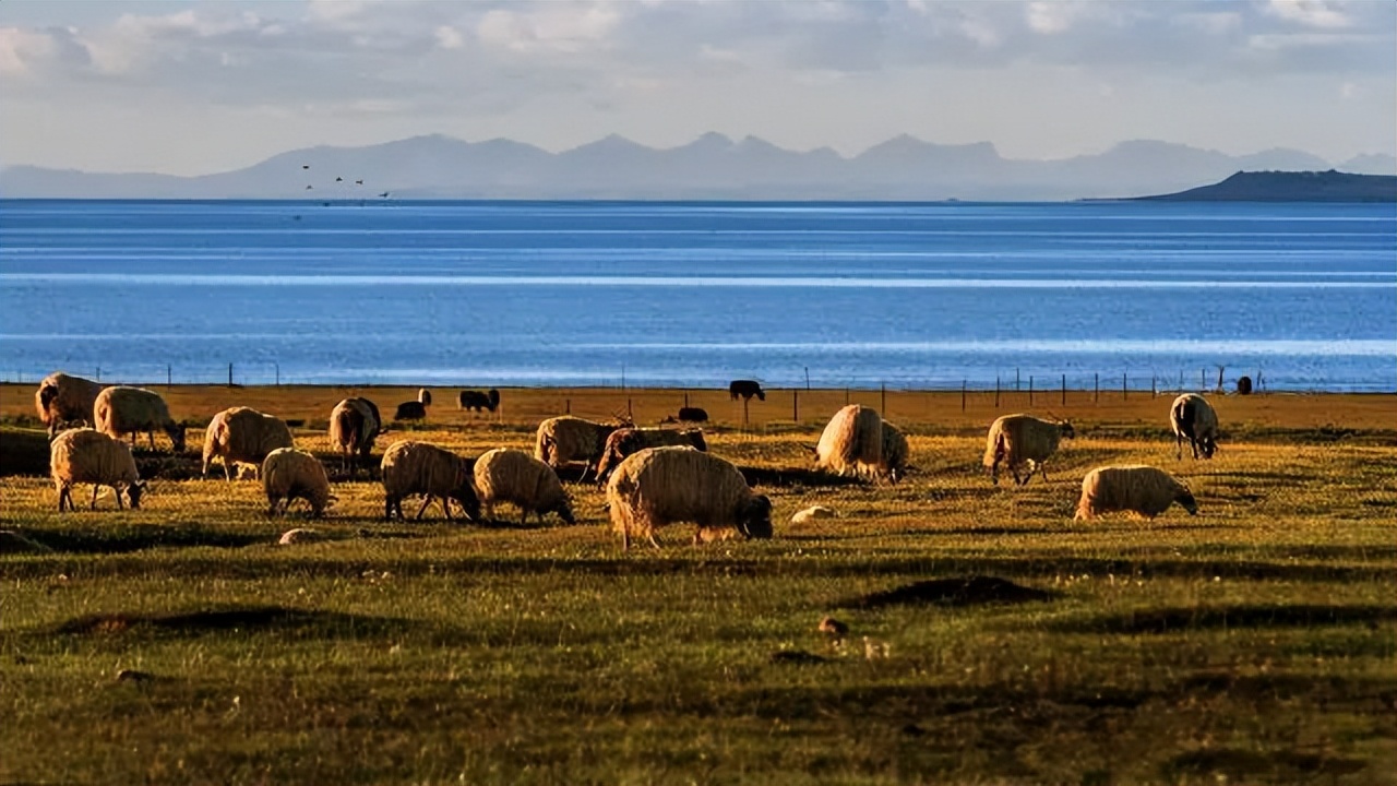 出发西北游,去西北旅行吧