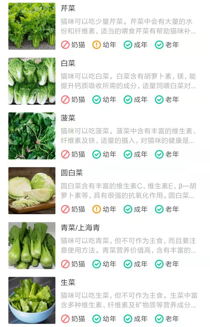 猫咪拉屎很臭怎么处理,为什么猫咪换完猫粮拉屎特别臭