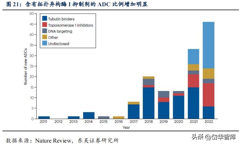 有效避开内卷，迈威生物：ADC锋芒初显，快速成长的Biopharma