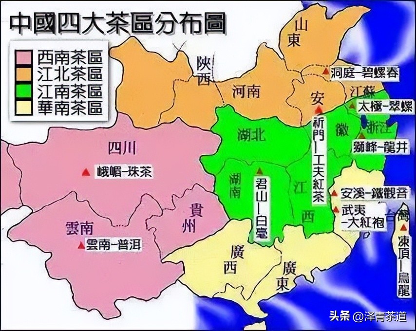 茶树为什么多生“南”而不生“北”？