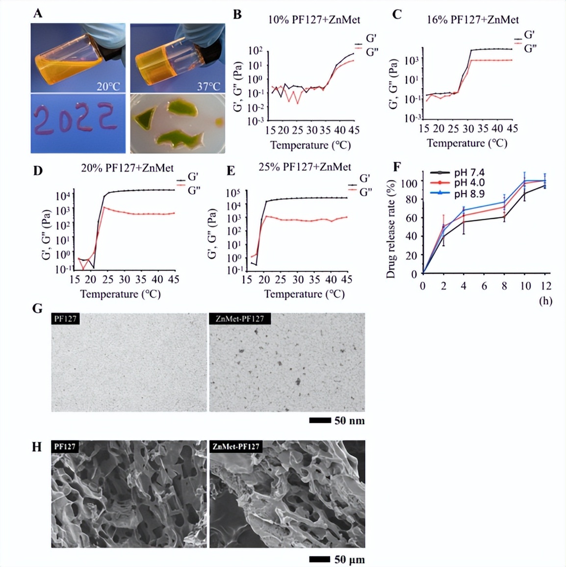「科研快报」可喷雾热敏水凝胶与锌修饰二甲双胍促进皮肤创面愈合