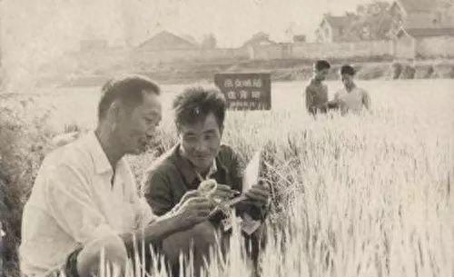 历史上能称得上国士无双的政治家,中国的国士无双有哪些人