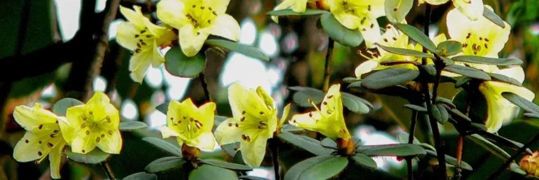 重庆区县怎么玩最合理,重庆各个区县好玩预览图