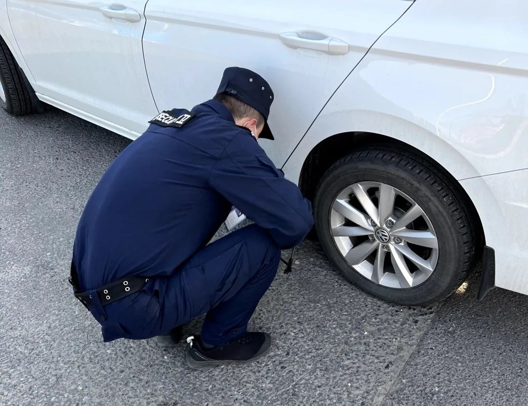 看过这些“珍藏”,小编被治愈了……