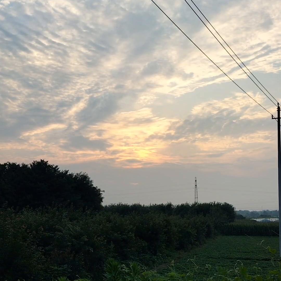 985和211在福州招生人数,各985211在重庆招生的具体名额