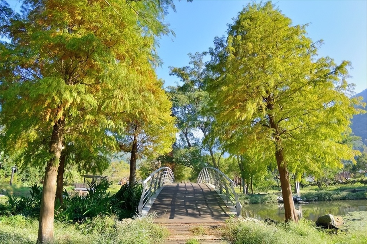 西游记里的妖魔鬼怪有多少个,西游记里的妖魔鬼怪