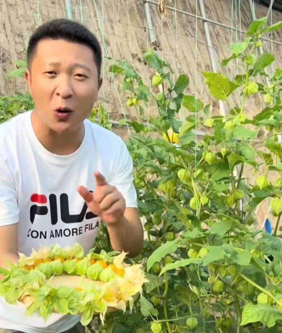 80后山东夫妻放弃5万月薪,95后小伙放弃30万年薪种菜