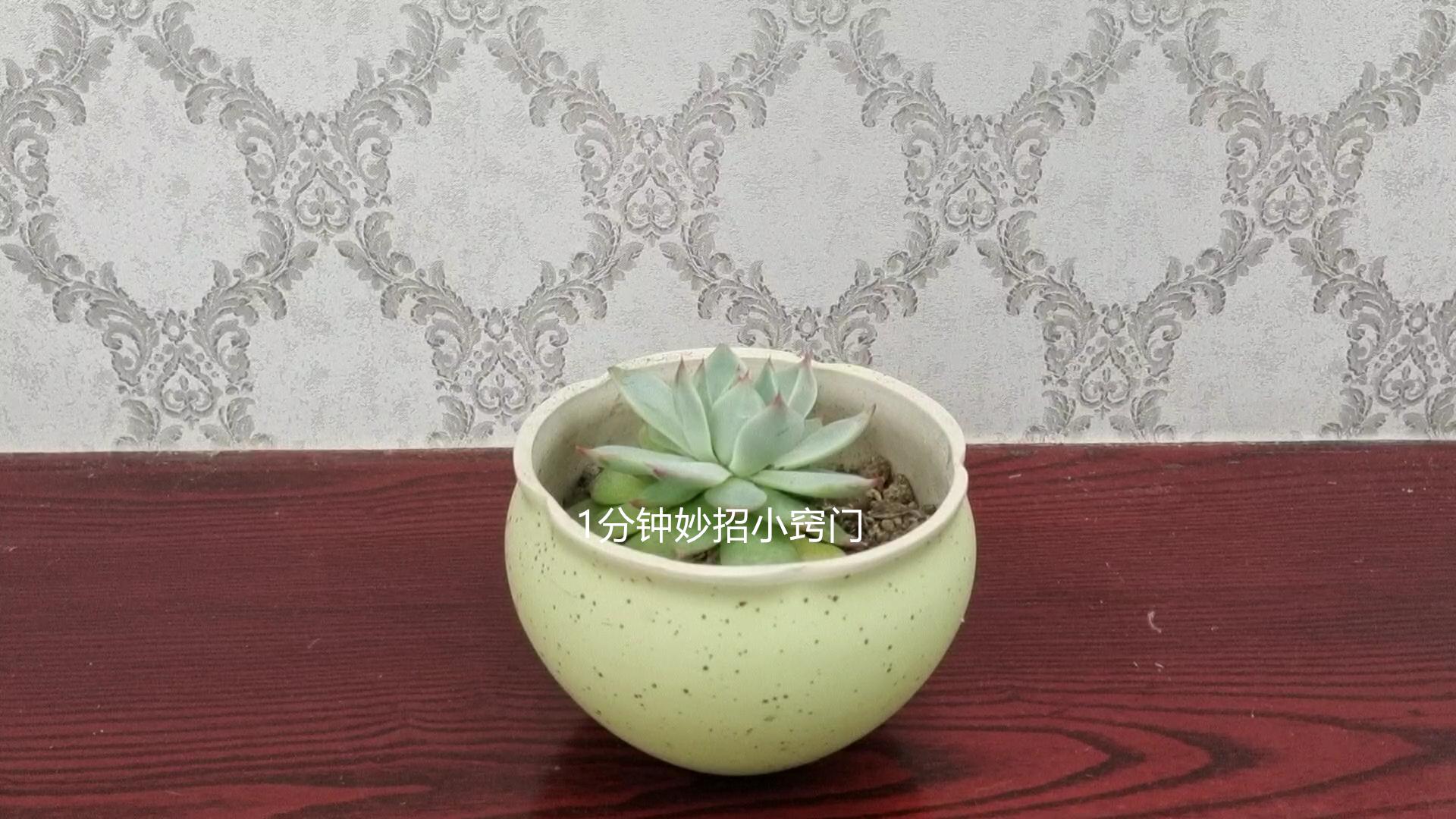 家中有钱四样东西不要放在电视旁,电视旁切记不能放什么东西