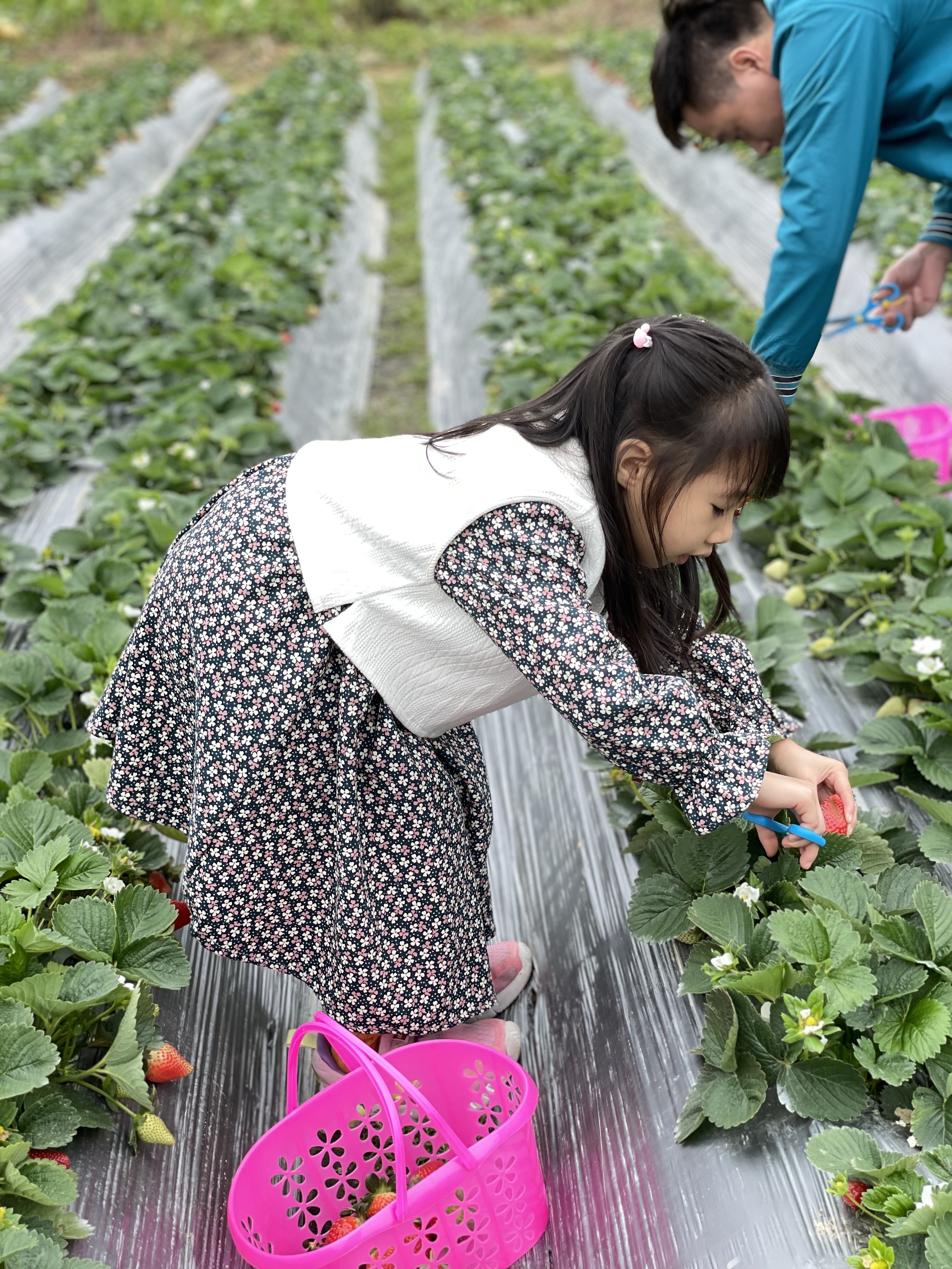广州南昆山温泉旅游攻略,秋冬季来临广东热门温泉攻略