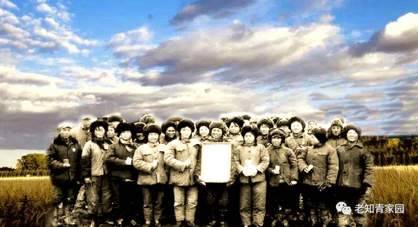 老知青讲北大荒艰苦生活的岁月,知青重返北大荒八五三农场