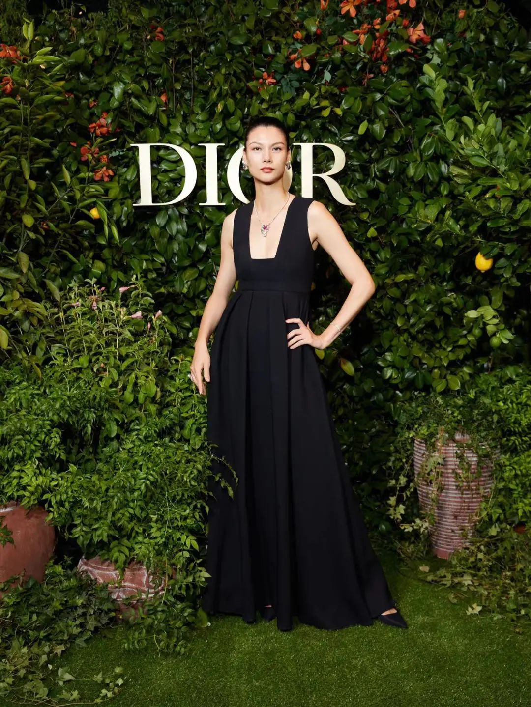 大品牌pk,各大品牌大pk