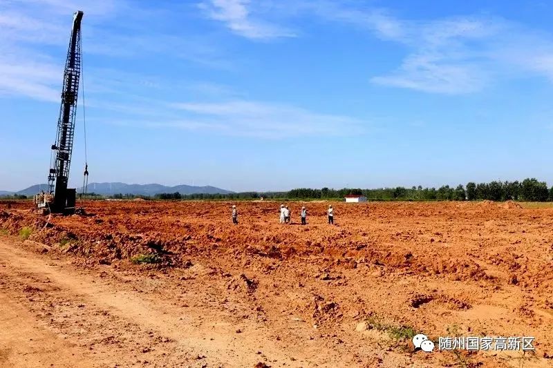 蝶变跃升五大行动,蝶变跃升