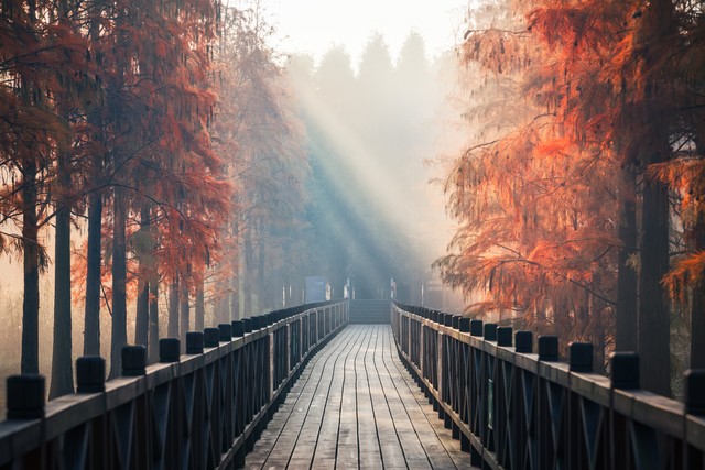 如何处理好邻里关系对于坏邻居该怎么办