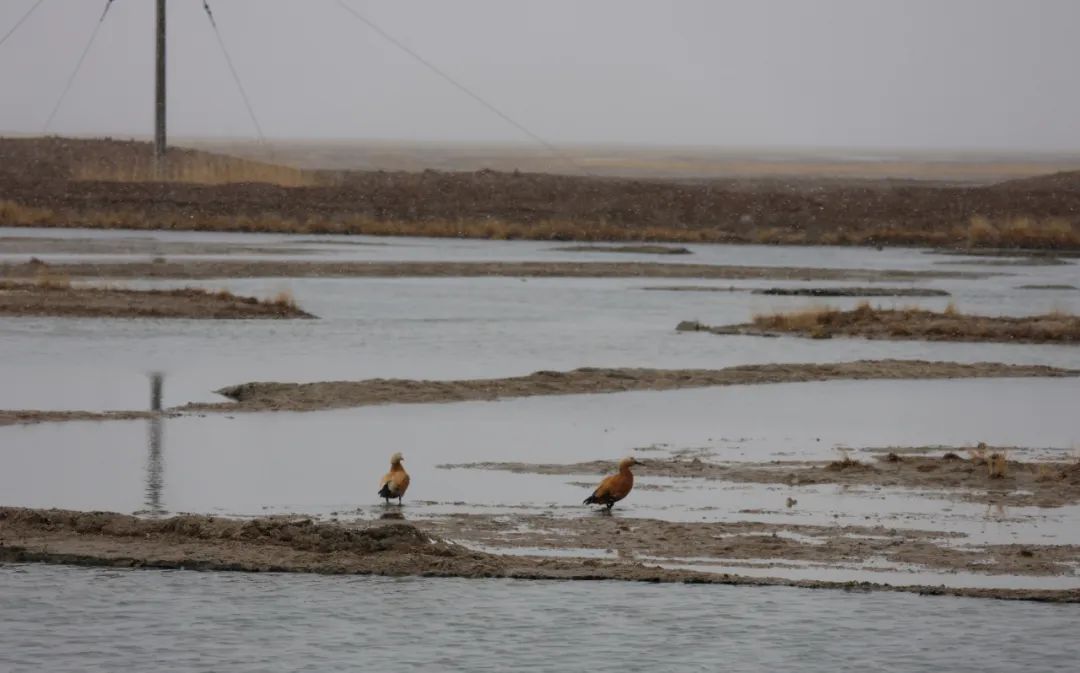 青海省的恶魔之眼艾肯泉,恶魔之眼艾肯泉在青海