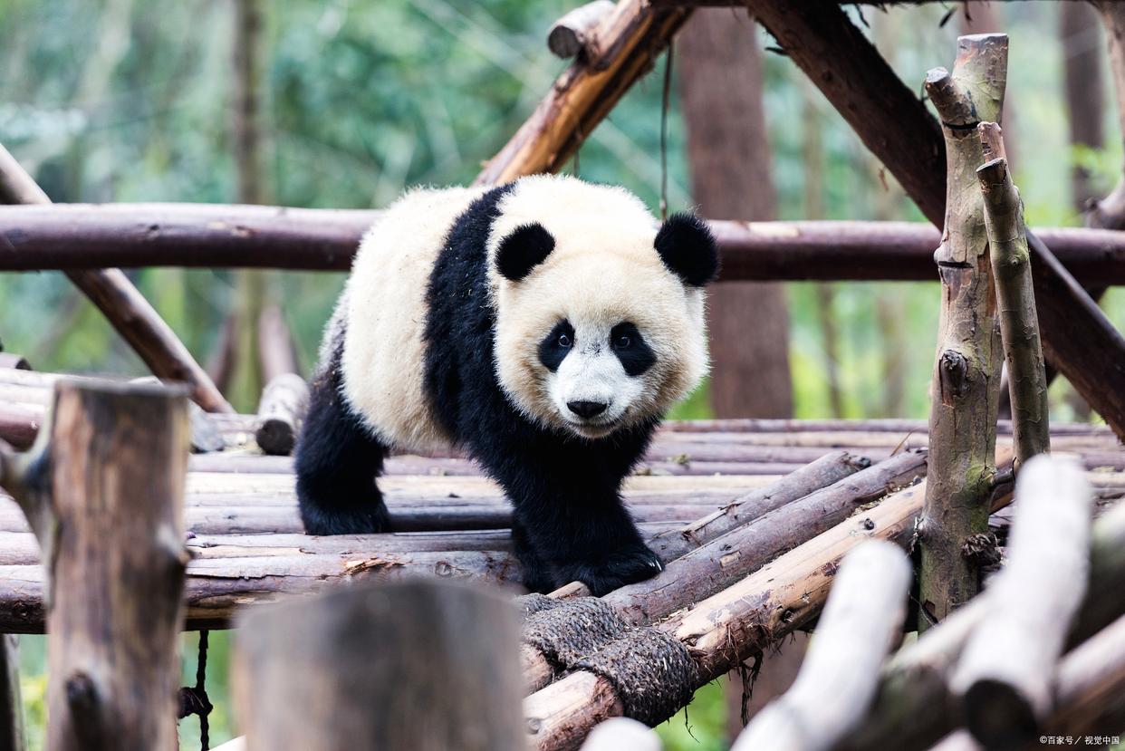 中国十大自驾胜地,中国十大露营旅游地点推荐