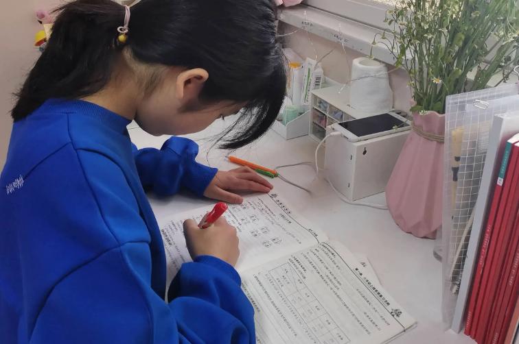 中高考难度变化未来应该重视什么,新高考改革从2025开始吗