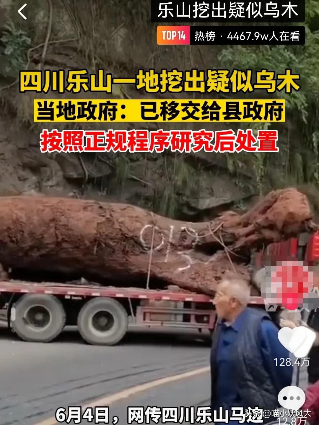 四川今年挖出乌木视频,四川梓潼挖出13米长千年乌木