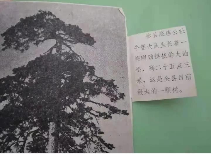 彬州市水口镇牛堡村简志