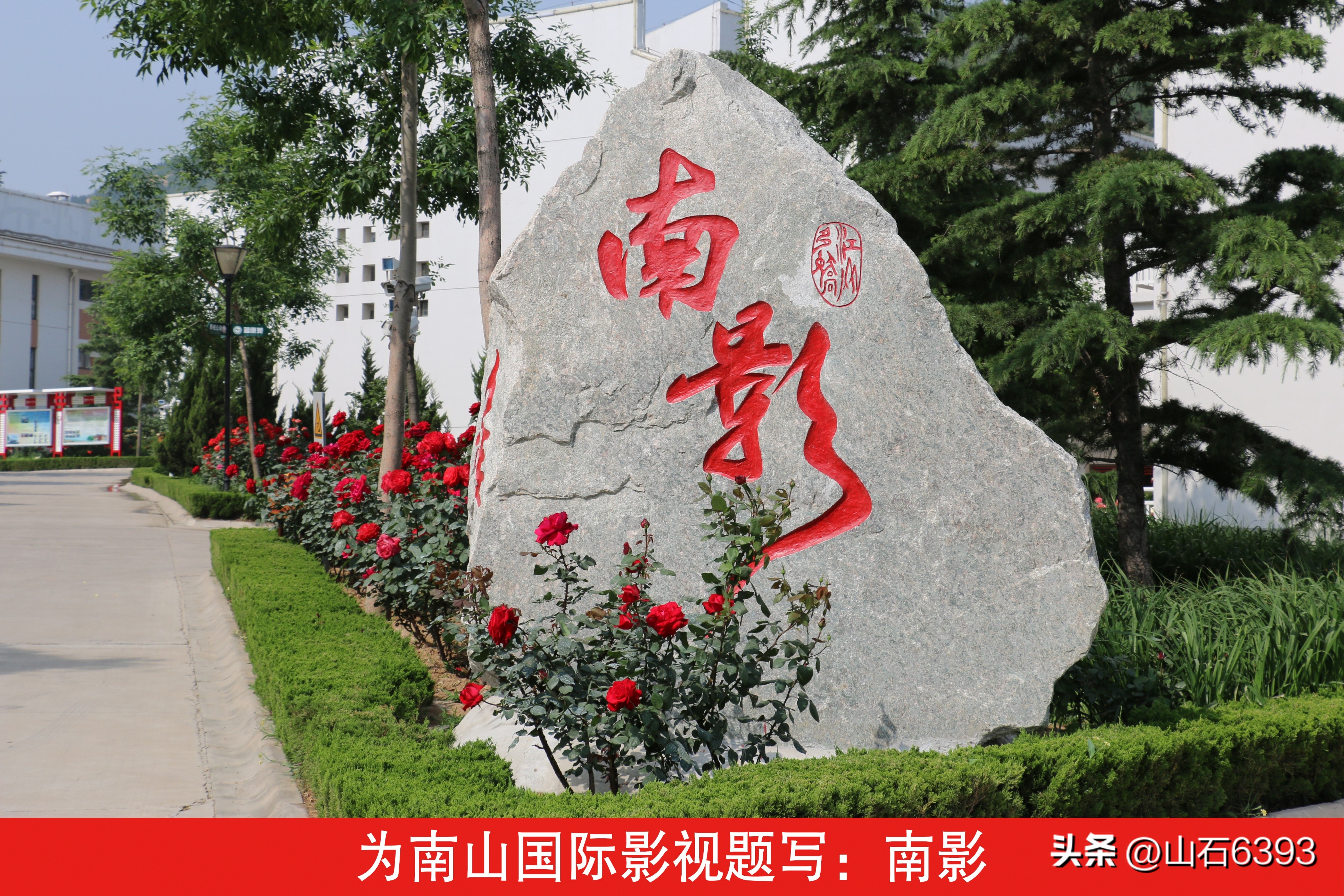 杨德富书法字画作品,杨德富书法家简介