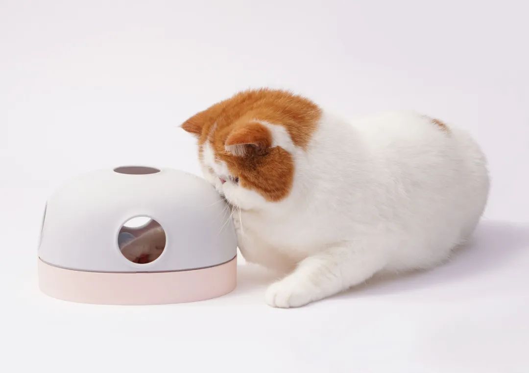 2022年iF设计奖：宠物用品类