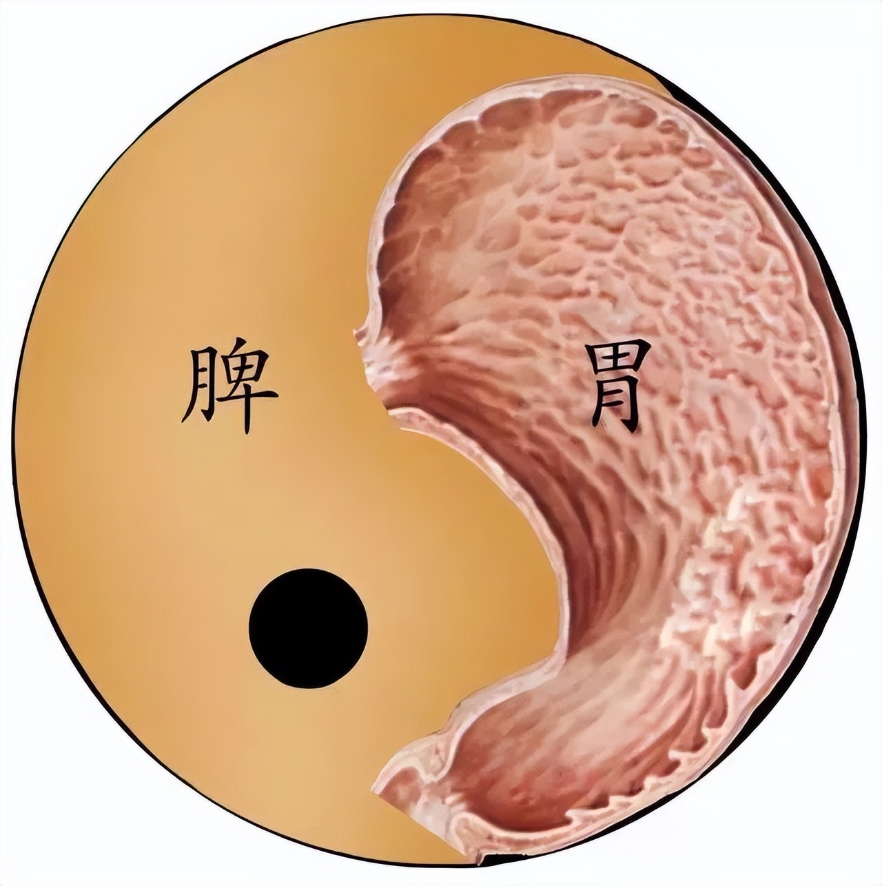 尿频吃了好多药不管用,尿频吃了抗生素没效果