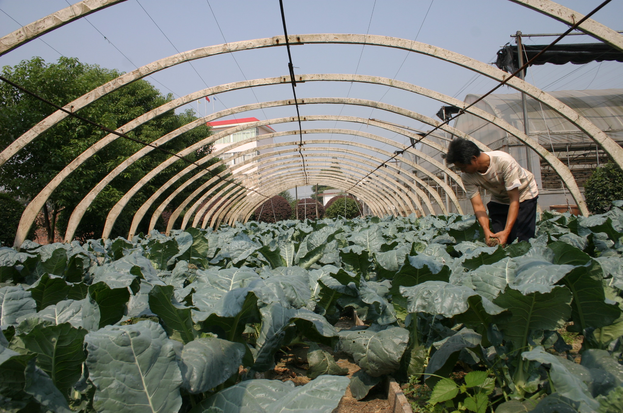长沙康多多,长沙康多多医药