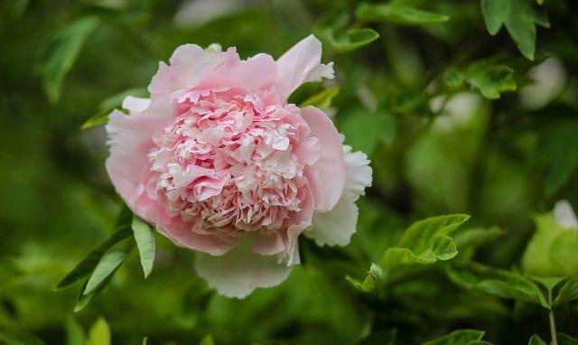 没有朋友没有社交只有自己一个人,没有朋友没有社交内心孤独怎么办
