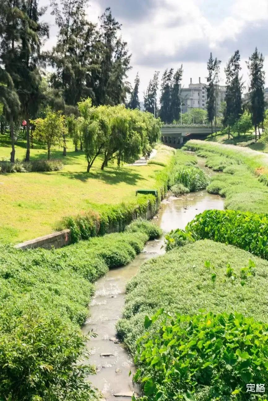 不用出国在深圳看到的美景,深圳有什么景点去看的不要钱的