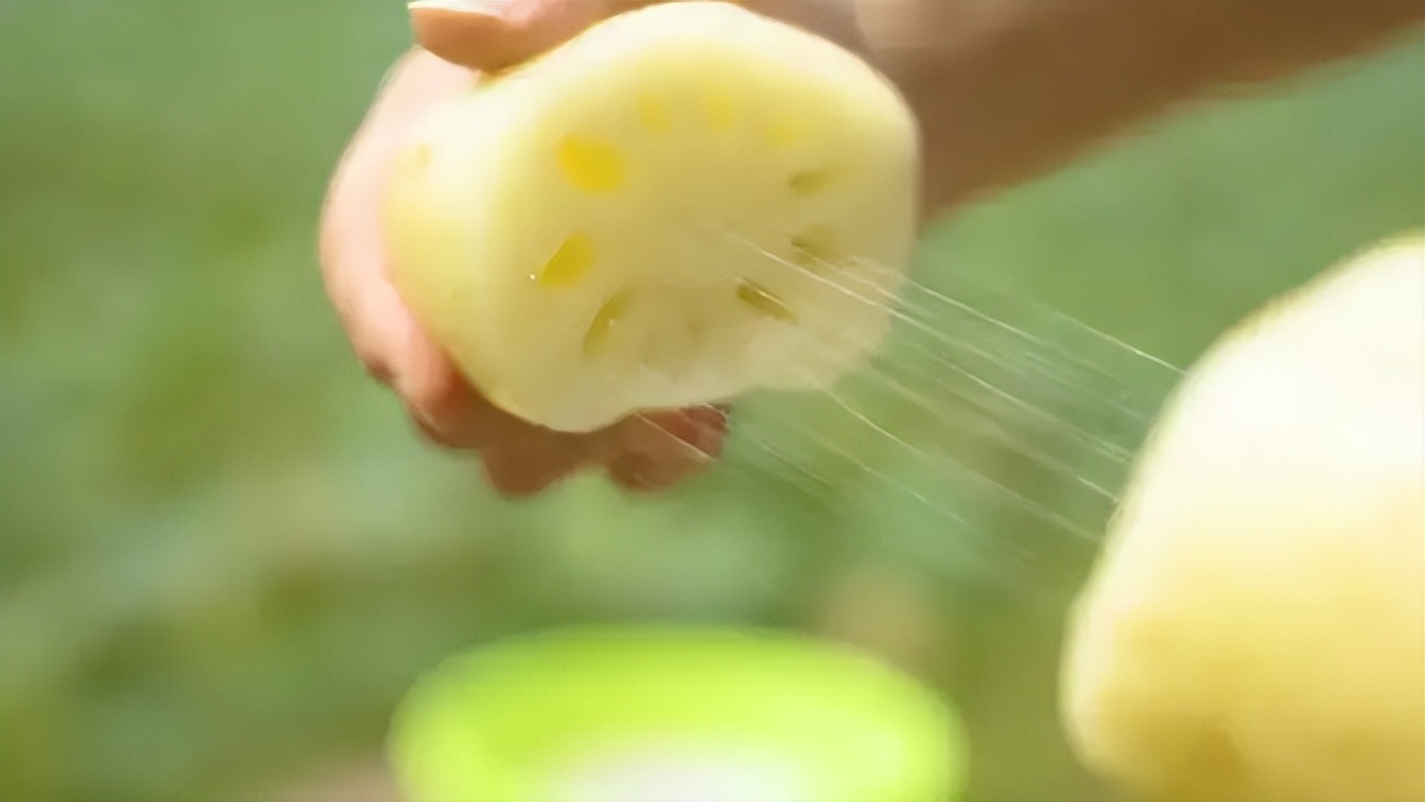 描写莲藕的诗句古诗大全,反映荷花莲藕的诗词