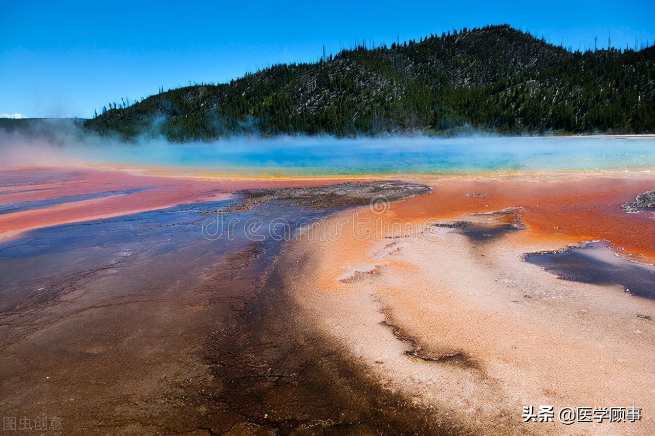 石硫合剂矿物油杀虫剂,有代替石硫合剂的杀虫杀菌剂吗