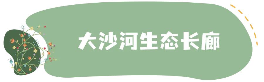 深圳免费儿童好玩的景点排名,深圳景点有哪些好玩的地方免费