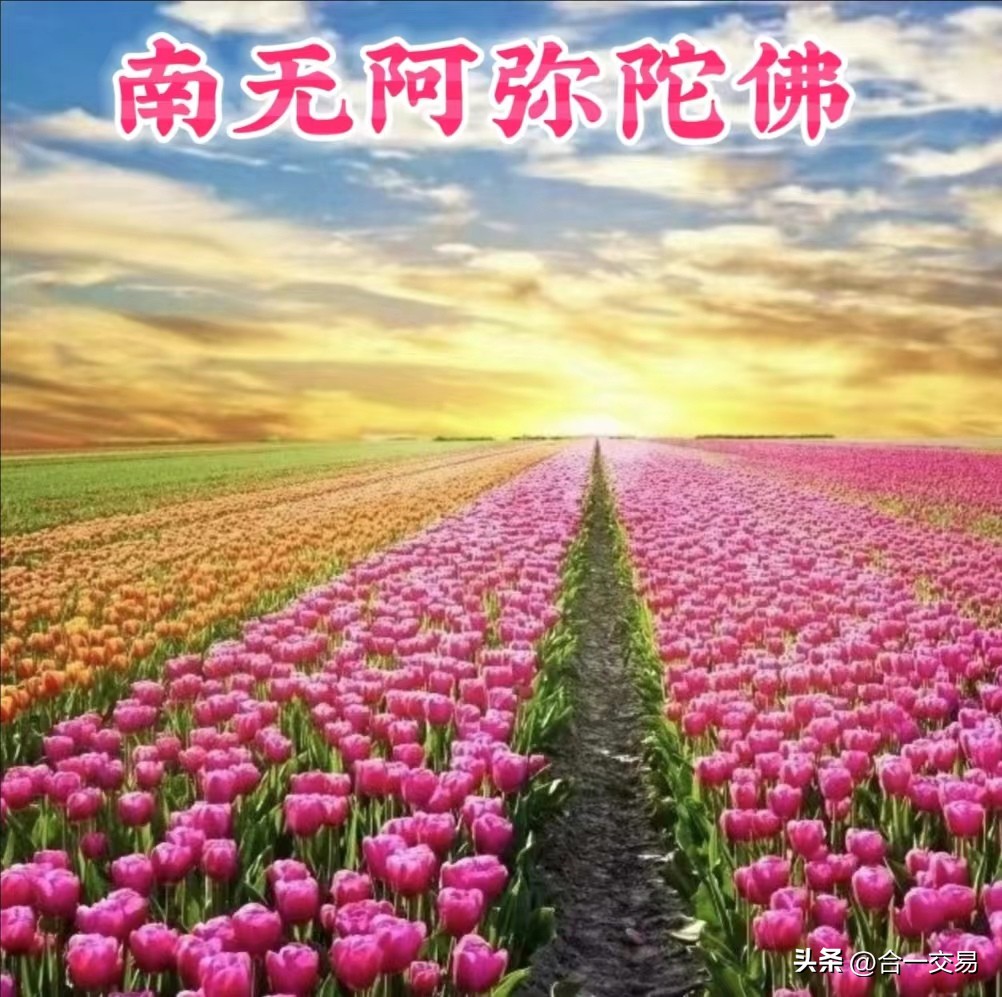 股市期货交易的基本知识,夜读一套完整的股票期货交易规则