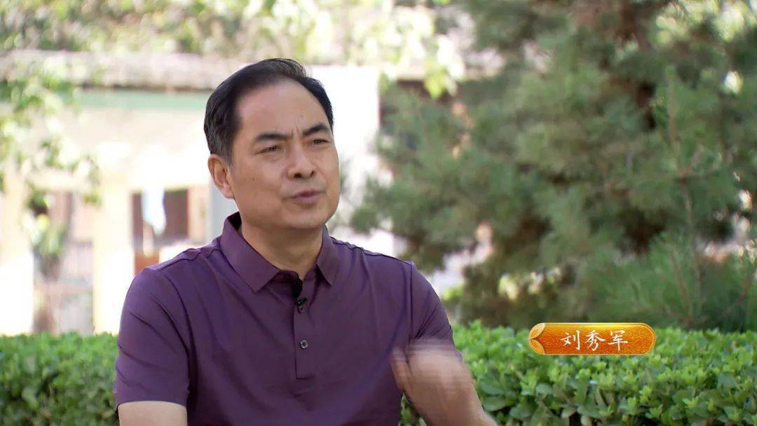 大叔摸黑种芽球菊苣，攻克芽球菊苣种植难题，一年销售额5000万元