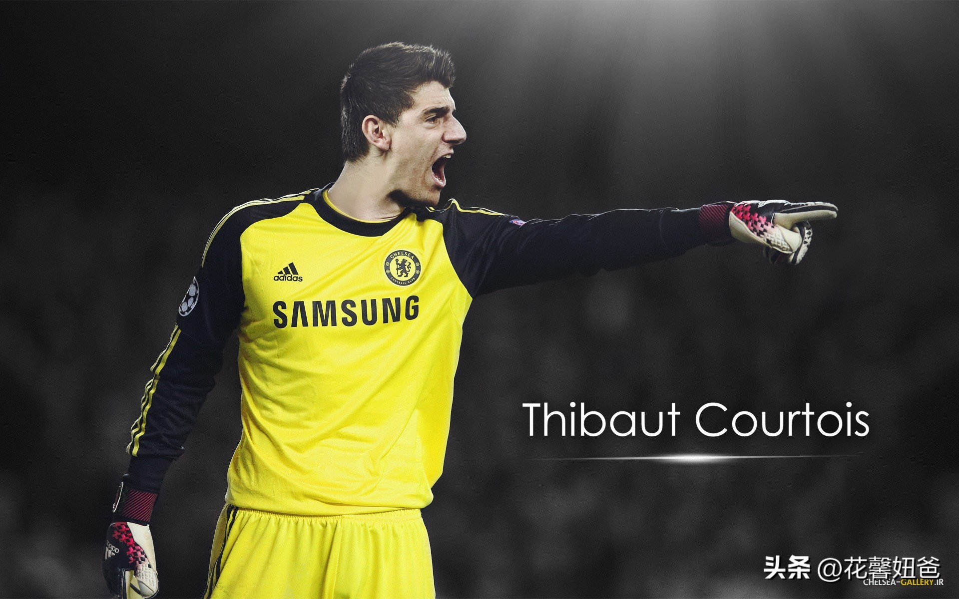 比利时的滑铁卢简介,滑铁卢失败了几次