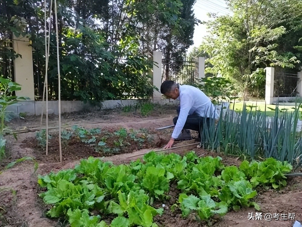 西安博雅艺术职业高中评价,西安博雅艺术职业中学老师