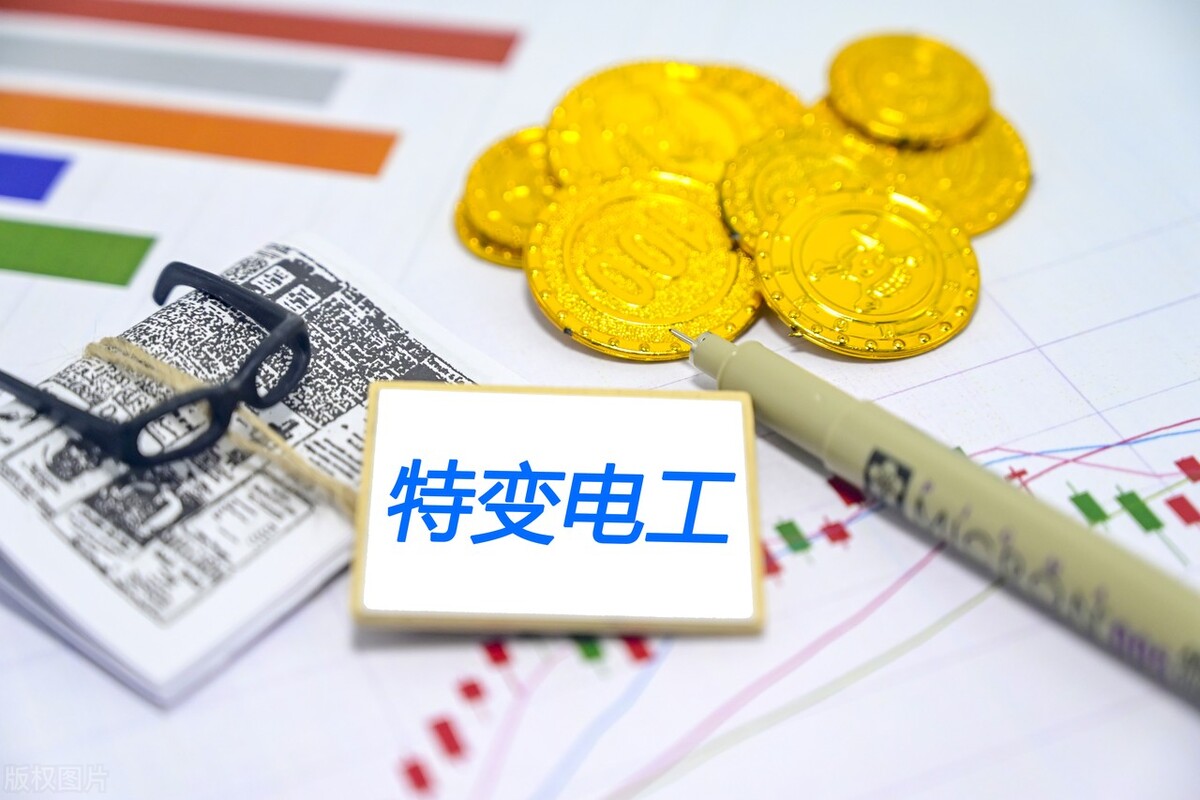 国家队重仓科技股龙头,国家队重仓龙头