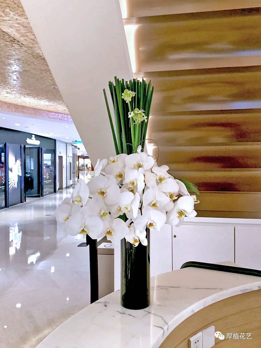 商务前台鲜花,前台花选择