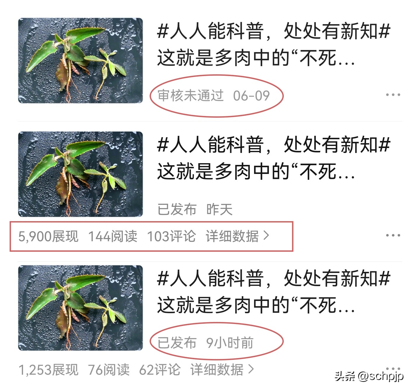 头条审核未通过原因怎么查,头条审核未通过有必要去申诉吗