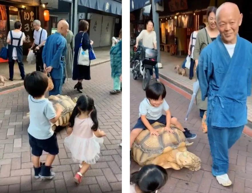 精工所有手表,精工电视手表t001