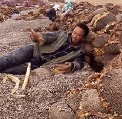 搞笑gif开心一刻这大概就是爱情吧,搞笑gif为了胜利我将不择手段