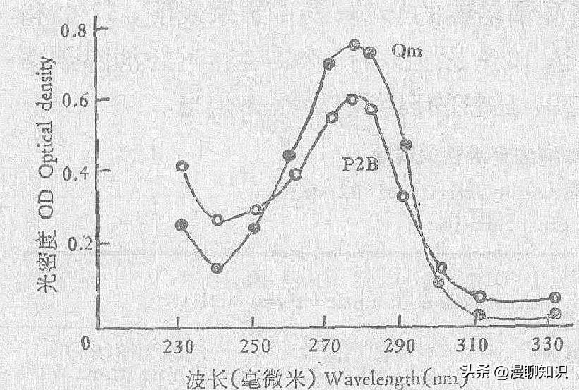庆丰链霉菌是什么？关于它SQP1质粒的种间转移和表达