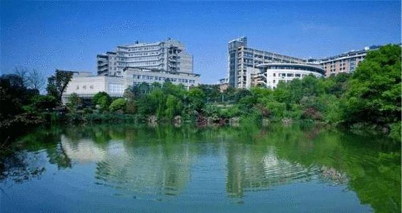 计算机类电子信息类哪个学校好,计算机专业电子信息专业哪个好