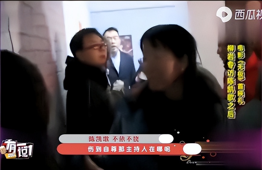 陈凯歌为何弃倪萍选陈红,陈红回应插足陈凯歌与倪萍事件