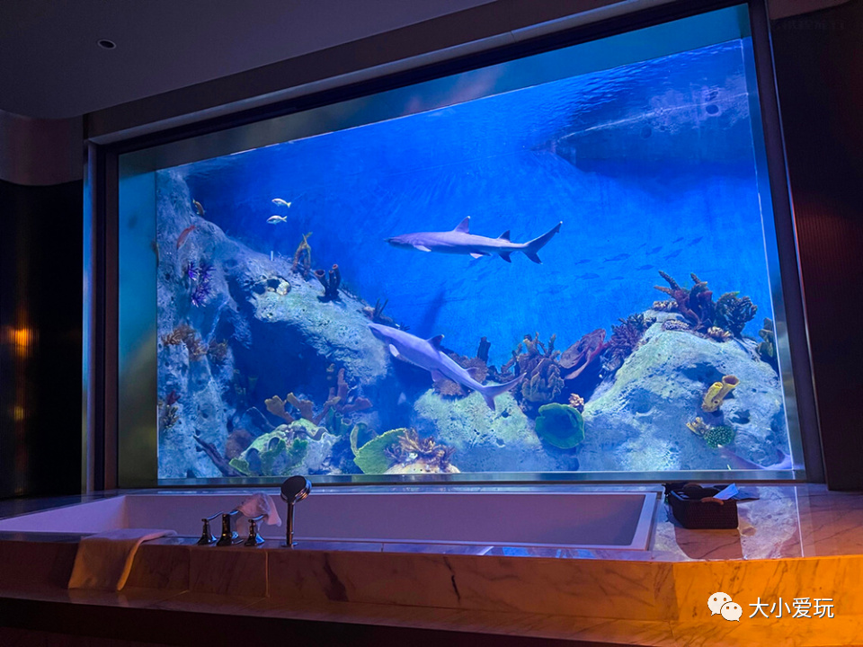 五家顶级野奢度假酒店,藏于山巅的野奢度假酒店