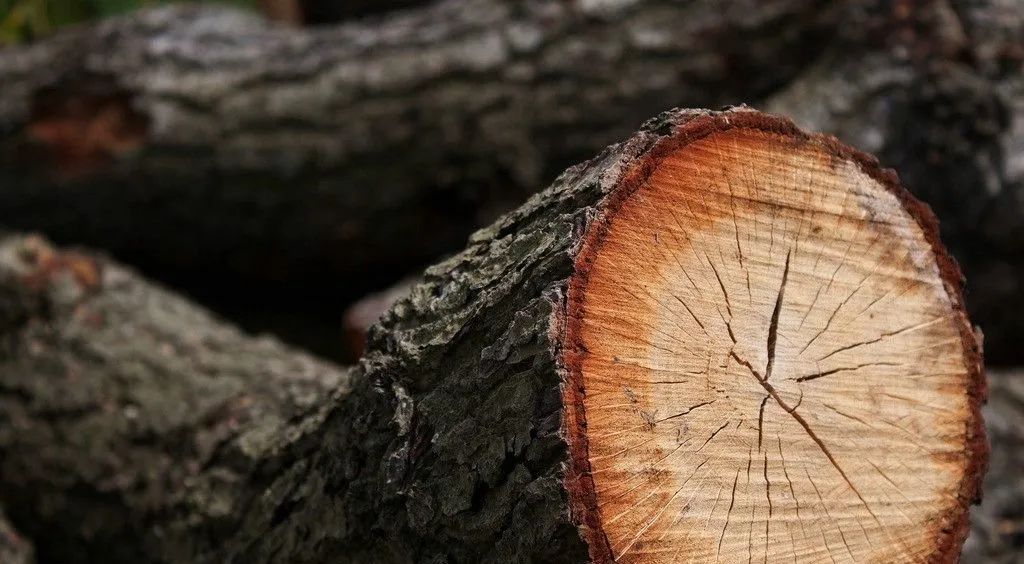 如何最简单明了了解中医五行表,中医的金木水火土对应的五行